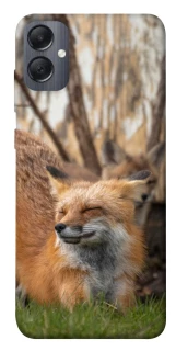 Чохол на Samsung Galaxy A05 Лисиця фото 1 з 1