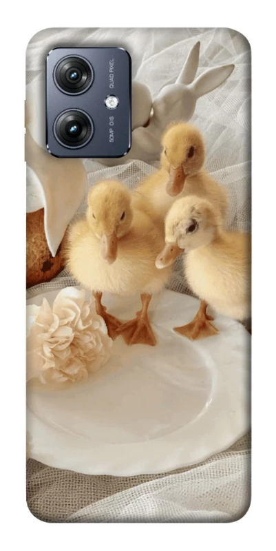 Чохол на Motorola Moto G54 Easter Vibes фото 1 з 1