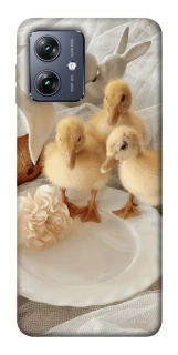 Чохол на Motorola Moto G54 Easter Vibes фото 1 з 1