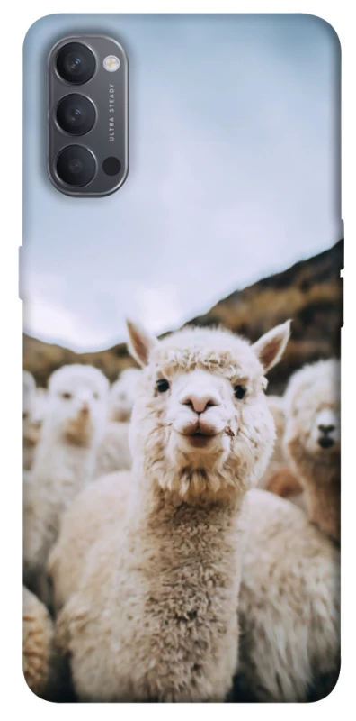 Чохол на Oppo Reno 4 Лама фото 1 з 1