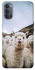 Чохол на Oppo Reno 4 Лама фото 1 з 1