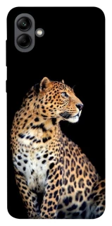 Чохол на Samsung Galaxy A04 Leopard v2 фото 1 з 1