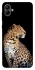 Чехол на Samsung Galaxy A04 Leopard v2 фото 1 из 1