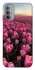 Чохол на Motorola Moto G31 Spring Awakening фото 1 з 1