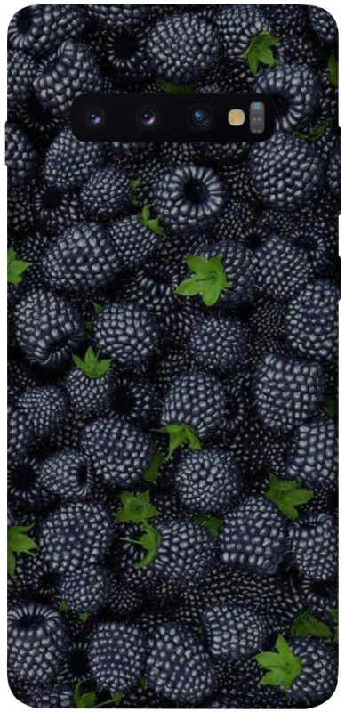 Чохол на Samsung Galaxy S10+ Fresh фото 1 з 1