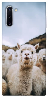 Чохол на Samsung Galaxy Note 10 Лама фото 1 з 1