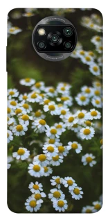 Чехол на Xiaomi Poco X3 NFC / Poco X3 Pro Ромашки v13 фото 1 из 1