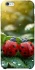 Чехол на Apple iPhone 6/6s plus (5.5") Flowers v23 фото 1 из 1