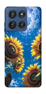Чохол на Motorola Edge 60 Stylus Sunflowers фото 1 з 1