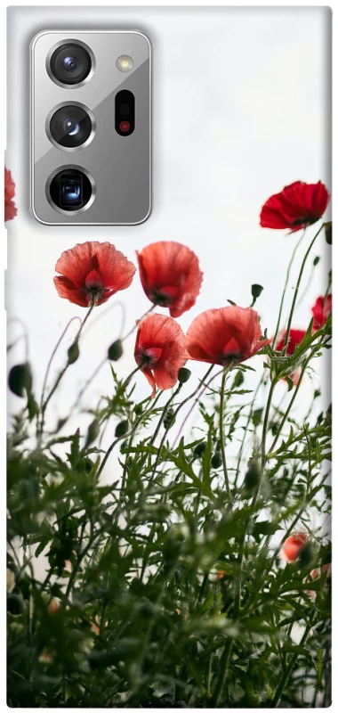 Чехол на Samsung Galaxy Note 20 Ultra Поле маков фото 1 из 1