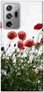 Чехол на Samsung Galaxy Note 20 Ultra Поле маков фото 1 из 1