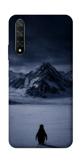 Чехол на Huawei Honor 20 / Nova 5T But why? фото 1 из 1