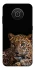 Чехол на Nokia X10 / X20 Leopard v4 фото 1 из 1