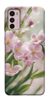 Чехол на Motorola Moto G42 Spring фото 1 из 1