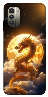 Чехол на Nokia G11 Golden Dragon фото 1 из 1