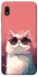 Чехол на Samsung Galaxy A10 (A105F) Сat with glasses фото 1 из 1