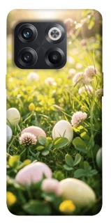 Чохол на OnePlus 10T Hello Spring фото 1 з 1