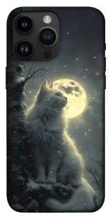 Чохол на Apple iPhone 14 Pro Max (6.7") Кіт під місяцем фото 1 з 1