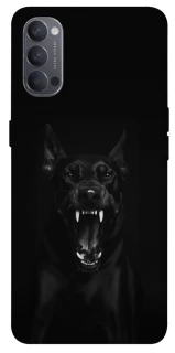 Чохол на Oppo Reno 4 Доберман фото 1 з 1
