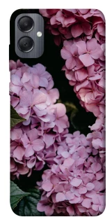 Чохол на Samsung Galaxy A05 Рожеві гартензії фото 1 з 1