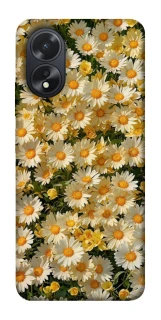 Чохол на Oppo A18 Camomile фото 1 з 1