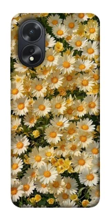 Чехол на Oppo A38 Camomile фото 1 из 1