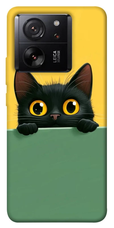 Чохол на Xiaomi 13T Pro Black cat v2 фото 1 з 1