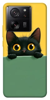 Чохол на Xiaomi 13T Pro Black cat v2 фото 1 з 1