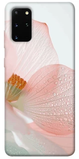 Чехол на Samsung Galaxy S20+ Flowers zon фото 1 из 1