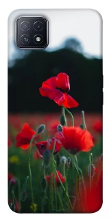 Чехол на Oppo A73 Мак фото 1 из 1