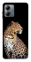 Чехол на Motorola Moto G14 Leopard v2 фото 1 из 1