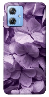 Чохол на Motorola Moto G84 Floral Symphony фото 1 з 1