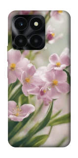 Чехол на Huawei Honor X6a Spring фото 1 из 1