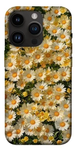 Чехол на Apple iPhone 14 Pro (6.1") Camomile фото 1 из 1