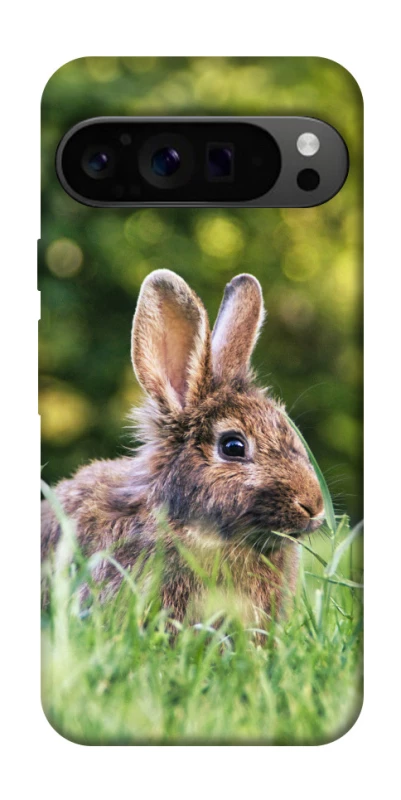 Чехол на Google Pixel 9 Pro Кролики фото 1 из 1