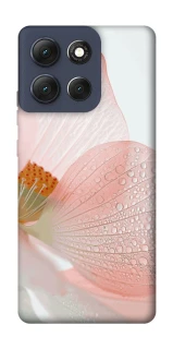 Чохол на Motorola Moto G86 Flowers zon фото 1 Чохол на Motorola Moto G86 Flowers zon фото 1 з 1