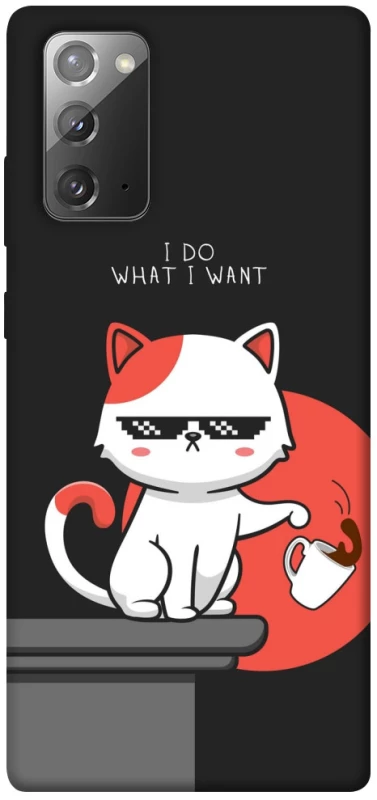 Чехол на Samsung Galaxy Note 20 I do what i wont фото 1 из 1
