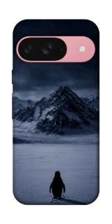 Чехол на Google Pixel 9 But why? фото 1 из 1