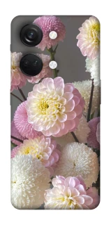 Чохол на OnePlus Nord 3 Flowers v2 фото 1 з 1