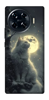 Чехол на TECNO Spark 20 Pro+ Кот под луной фото 1 из 1