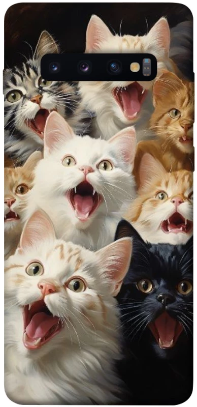Чехол на Samsung Galaxy S10+ Коты фото 1 из 1