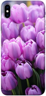 Чехол на Apple iPhone XS Max (6.5") Фиолетовые тюльпаны фото 1 из 1