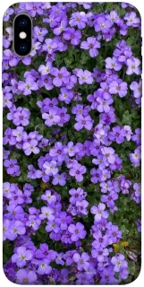 Чохол на Apple iPhone X (5.8") Flowers v17 фото 1 з 1