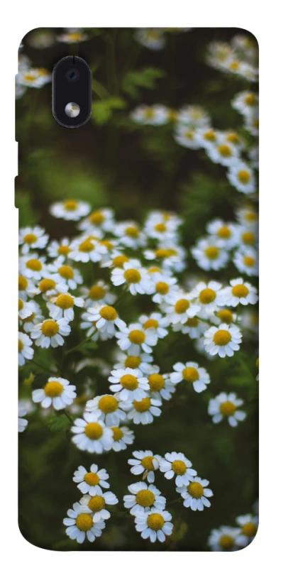 Чохол на Samsung Galaxy M01 Core / A01 Core Ромашки v13 фото 1 з 1