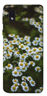 Чехол на Samsung Galaxy M01 Core / A01 Core Ромашки v13 фото 1 из 1