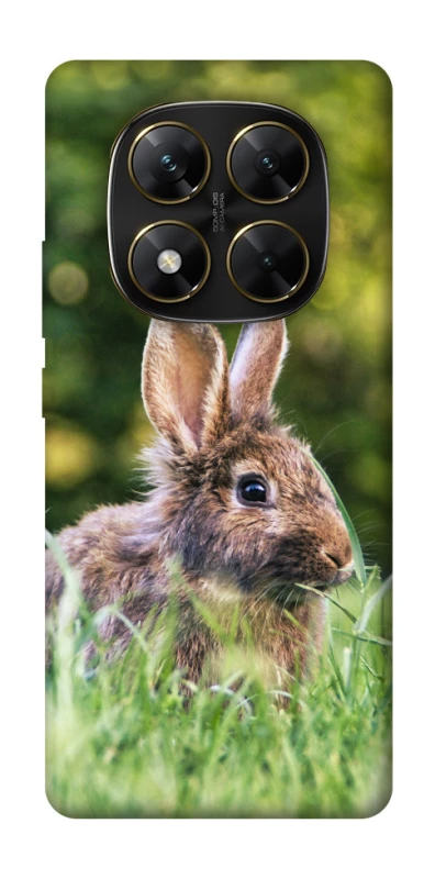 Чехол на Xiaomi Poco X7 Кролики фото 1 из 1