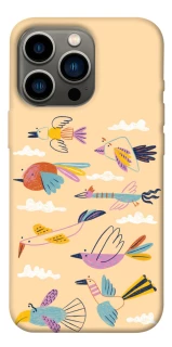 Чохол на Apple iPhone 13 Pro (6.1") Переліт фото 1 з 1