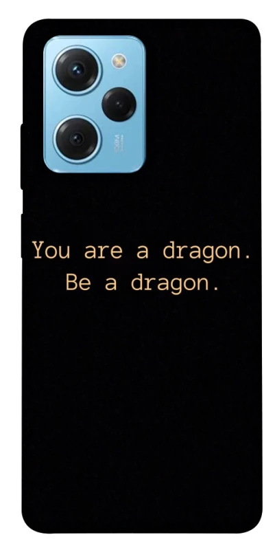Чехол на Xiaomi Poco X5 Pro 5G House of the Dragon ver.9 фото 1 из 1