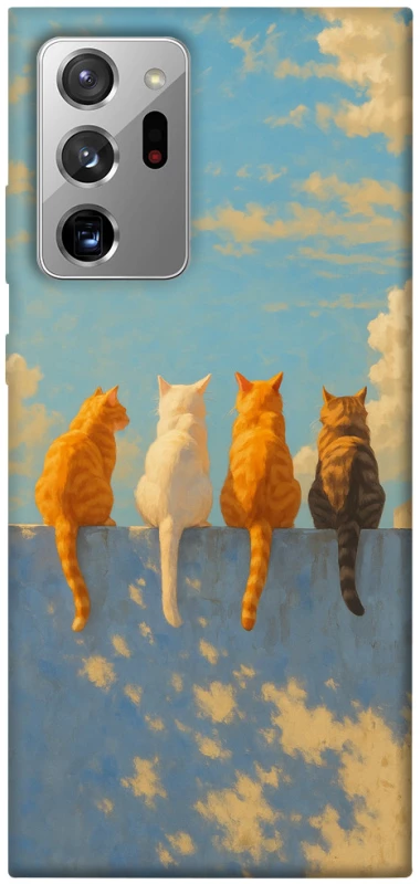 Чохол на Samsung Galaxy Note 20 Ultra cats on wall фото 1 з 1