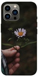 Чехол на Apple iPhone 13 Pro Max (6.7") Ромашка v4 фото 1 из 1